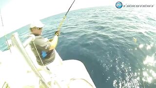 Джиг вдали от дневных точек в Сома-Бей на Красном море