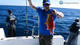 Джиг вдали от дневных точек в Сома-Бей на Красном море