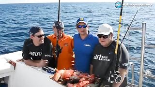 Джиг вдали от дневных точек в Сома-Бей на Красном море