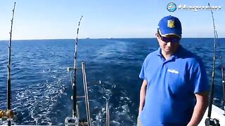 Джиг вдали от дневных точек в Сома-Бей на Красном море