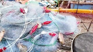 Лонгхай, Динько: рыбацкий берег и самостоятельный день на море