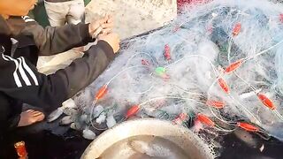 Хочам: вытягивание сетей и отдельная рыбалка у устричных ферм
