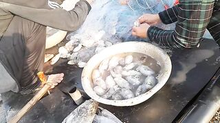 Хочам: вытягивание сетей и отдельная рыбалка у устричных ферм