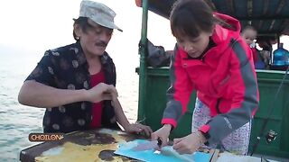 Крупный кальмар на искусственную креветку у островов Кото