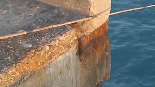 Тот самый «язь»: рыболовные эмоции и план озерного выезда