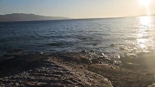 Зацеп и поклевки на каменистых берегах Бодрума: Акьярлар и Тургутрейс