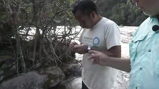 Южный Суринам: охота за крупной аймарой на лесной реке