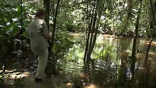 Южный Суринам: охота за крупной аймарой на лесной реке