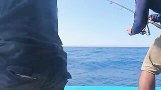 Морской джиг в Ниньчу, Фанранг с красным групером