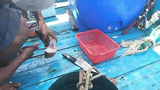 Морской джиг в Ниньчу, Фанранг с красным групером