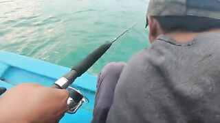 Морской джиг в Ниньчу, Фанранг с красным групером