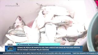 Мапуту: нехватка рыбы после дождей и выбор времени для выхода