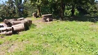 Ставрида на сабики с SUP у поселка Квариати на черноморском берегу Грузии
