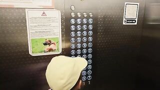 Ставрида на сабики с SUP у поселка Квариати на черноморском берегу Грузии