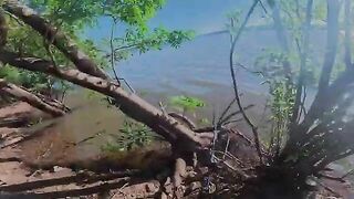 Река Дайман у Сальто: каменистые перекаты и мелкая рыба