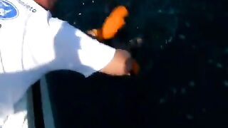 Первый парусник Паулу у Мапуту помогли поднять и отпустили