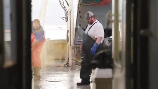Залив Святого Лаврентия: культурная история и морское знакомство