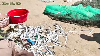 Невод с рыбой-саблей на пляже Микхе в Дананге во Вьетнаме