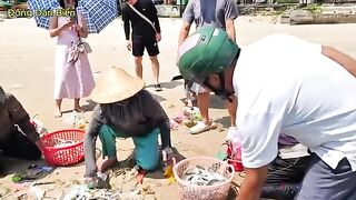 Невод с рыбой-саблей на пляже Микхе в Дананге во Вьетнаме