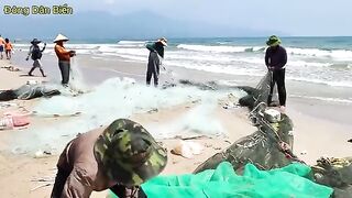 Невод с рыбой-саблей на пляже Микхе в Дананге во Вьетнаме