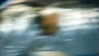 Балатон у Тихани: пять бершей после трудного старта с мусором