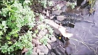 Печа и Кольский полуостров: речная тема и поездка с проводником