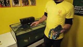 Стоунхейвен: предпоследний день сезона лобстеров на Salty Dog