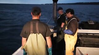 Стоунхейвен: предпоследний день сезона лобстеров на Salty Dog