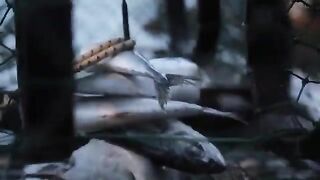 Стоунхейвен: предпоследний день сезона лобстеров на Salty Dog