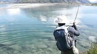 Радужная форель взяла мушку на глазах в Маккензи