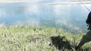 Радужная форель взяла мушку на глазах в Маккензи