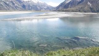 Радужная форель взяла мушку на глазах в Маккензи