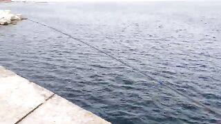 Палермо, Сицилия: рыболовная тема и спортивный выход в море