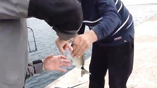 Палермо, Сицилия: рыболовная тема и спортивный выход в море