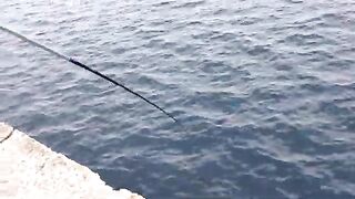Палермо, Сицилия: рыболовная тема и спортивный выход в море