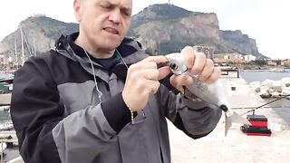 Палермо, Сицилия: рыболовная тема и спортивный выход в море