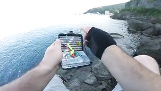 Микроджиг с болеро в Сарпи и отпущенная ласточка