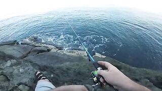 Микроджиг с болеро в Сарпи и отпущенная ласточка
