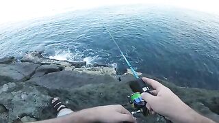 Микроджиг с болеро в Сарпи и отпущенная ласточка