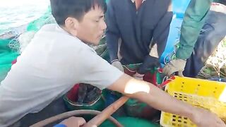 Ночная постановка сетей на ската у Лонгхая и утренний подъем с крабами