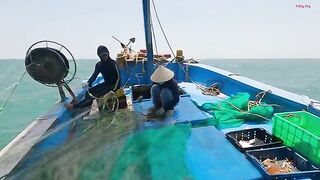 Ночная постановка сетей на ската у Лонгхая и утренний подъем с крабами