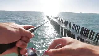Поти, Черное море: тест спиннинга с силиконом и переход на червя