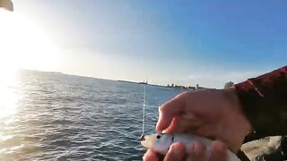 Поти, Черное море: тест спиннинга с силиконом и переход на червя