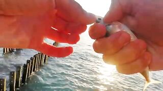 Поти, Черное море: тест спиннинга с силиконом и переход на червя