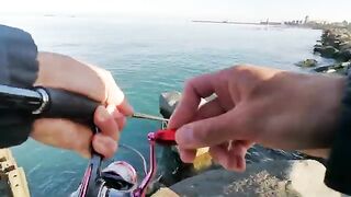 Поти, Черное море: тест спиннинга с силиконом и переход на червя