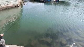 Джерк и поппер без поклевок в заливе Дапэн у Шэньчжэня