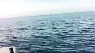 Чакви, Аджария: береговая рыбалка и короткий маршрут из Батуми