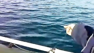 Чакви, Аджария: береговая рыбалка и короткий маршрут из Батуми