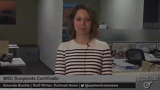 Залив Святого Лаврентия: сертификация промысла и выбор гостевого тура