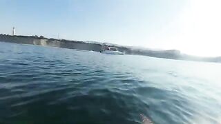 Подводная охота у Толстого мыса в Геленджике: горбыль, окунь и ласкирь